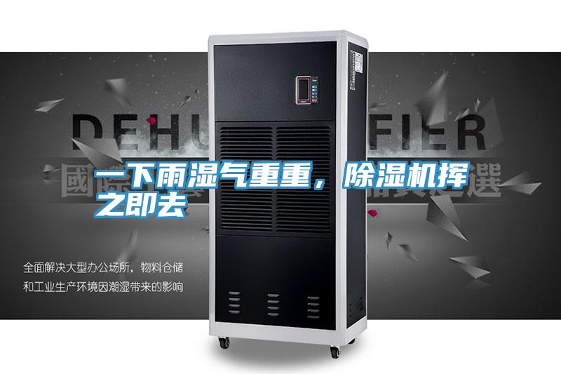 一下雨濕氣重重，除濕機(jī)揮之即去