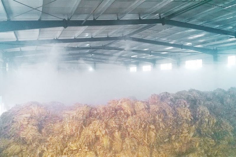 提升煙葉加工質(zhì)量，高效回潮很重要