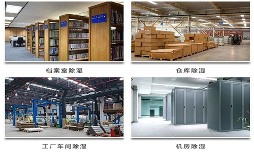 為什么竹筍烘干房需要除濕機(jī)？