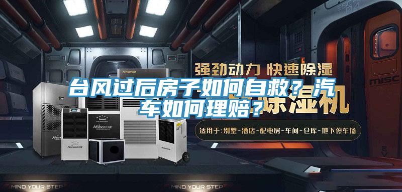 臺(tái)風(fēng)過后房子如何自救？汽車如何理賠？