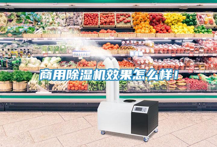 商用除濕機效果怎么樣！