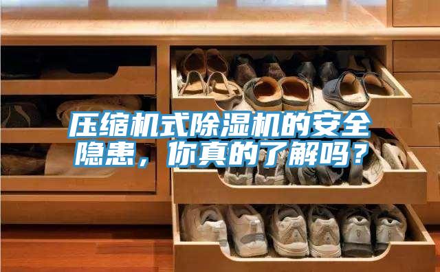 壓縮機(jī)式除濕機(jī)的安全隱患，你真的了解嗎？