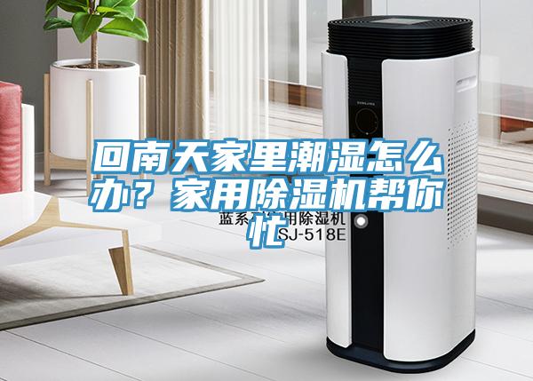 回南天家里潮濕怎么辦？家用除濕機幫你忙