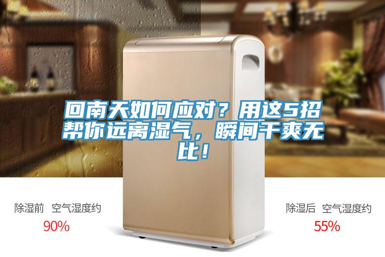 回南天如何應對？用這5招幫你遠離濕氣，瞬間干爽無比！