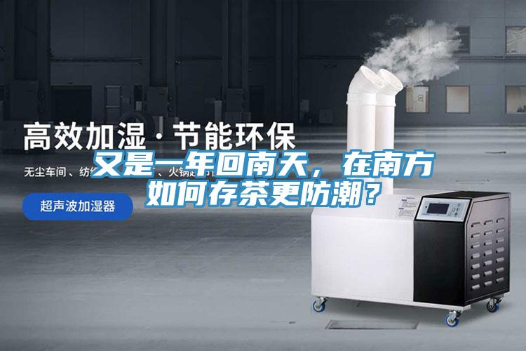 又是一年回南天，在南方如何存茶更防潮？