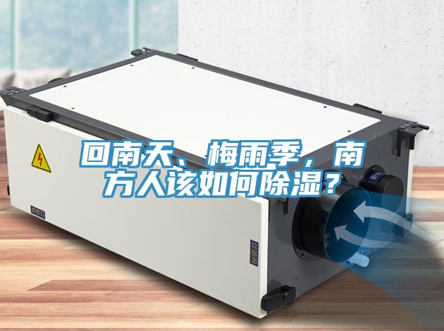 回南天、梅雨季，南方人該如何除濕？