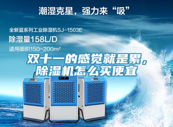 雙十一的感覺就是累，除濕機(jī)怎么買便宜