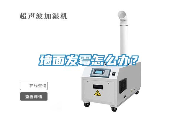 墻面發(fā)霉怎么辦？
