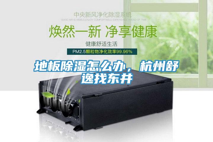 地板除濕怎么辦，杭州舒逸找東井