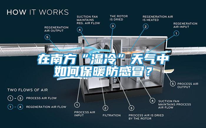 在南方“濕冷”天氣中如何保暖防感冒？