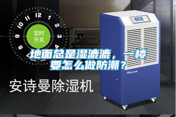 地面總是濕漉漉，一樓要怎么做防潮？