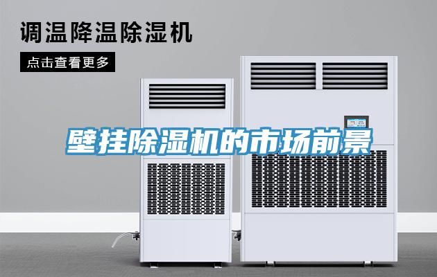 壁掛除濕機(jī)的市場(chǎng)前景