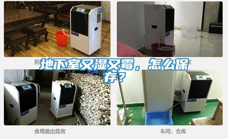 地下室又濕又霉，怎么保存？