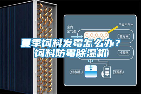 夏季飼料發(fā)霉怎么辦？飼料防霉除濕機