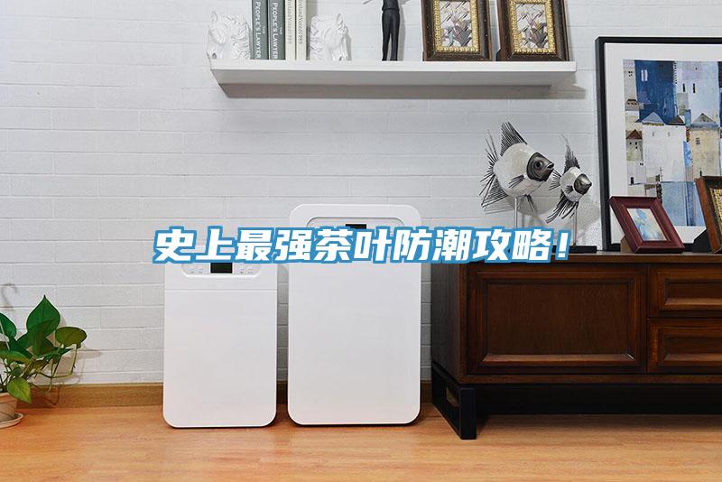 史上最強(qiáng)茶葉防潮攻略！