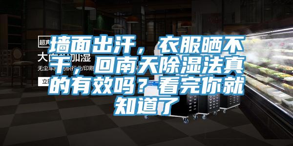 墻面出汗，衣服曬不干，回南天除濕法真的有效嗎？看完你就知道了