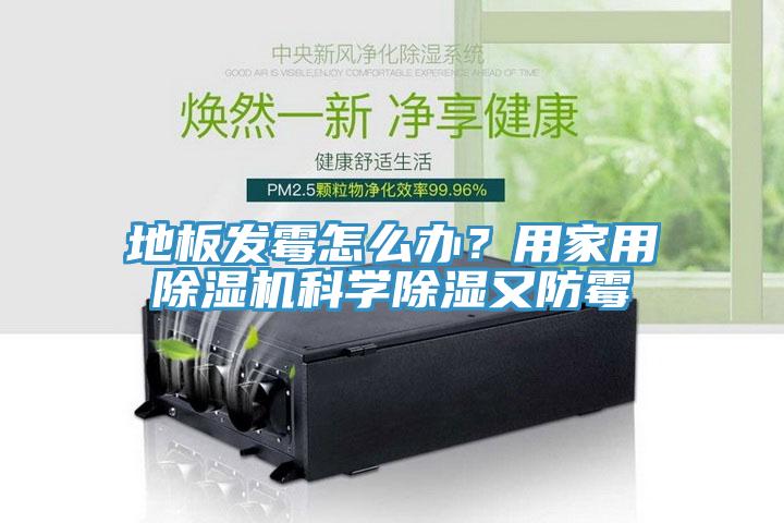 地板發(fā)霉怎么辦？用家用除濕機科學(xué)除濕又防霉