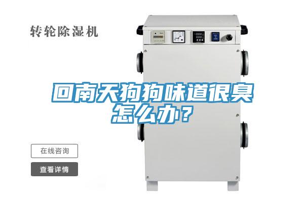 回南天狗狗味道很臭怎么辦？