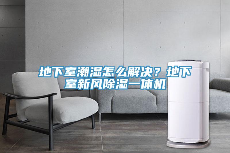 地下室潮濕怎么解決？地下室新風(fēng)除濕一體機
