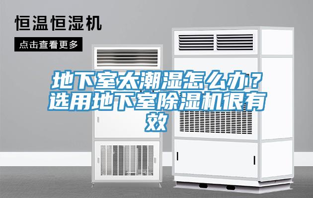 地下室太潮濕怎么辦？選用地下室除濕機(jī)很有效