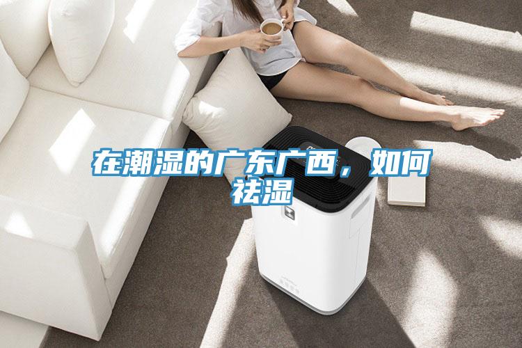 在潮濕的廣東廣西，如何祛濕