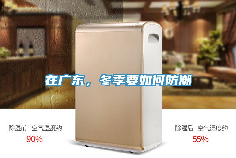 在廣東，冬季要如何防潮