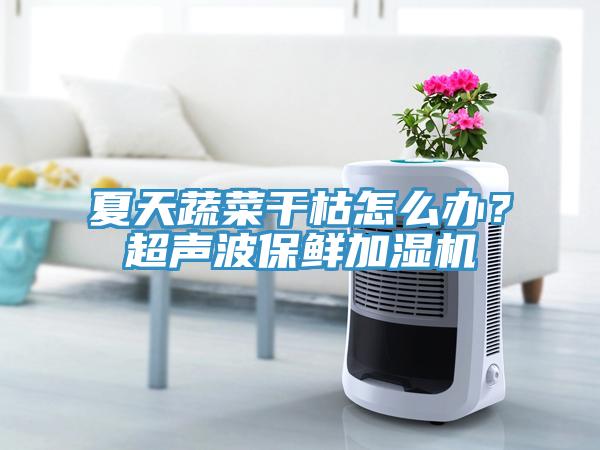 夏天蔬菜干枯怎么辦？超聲波保鮮加濕機(jī)