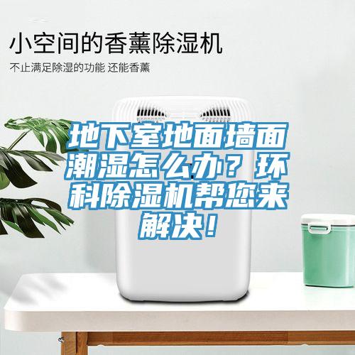 地下室地面墻面潮濕怎么辦？環(huán)科除濕機(jī)幫您來解決！