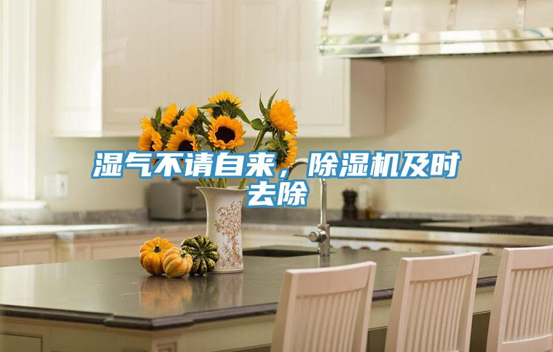 濕氣不請自來，除濕機及時去除
