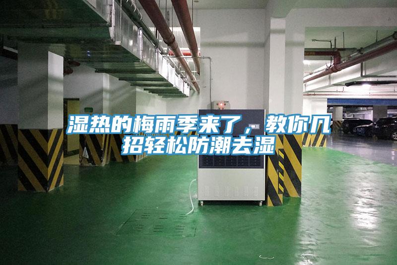 濕熱的梅雨季來了，教你幾招輕松防潮去濕