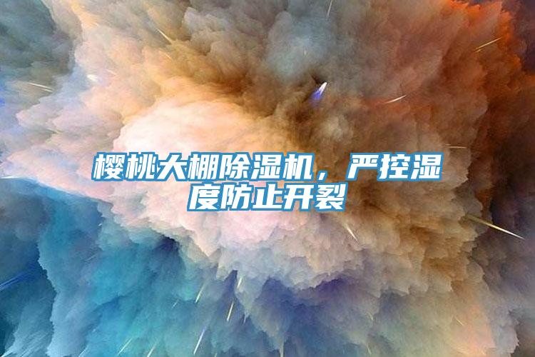 櫻桃大棚除濕機，嚴控濕度防止開裂