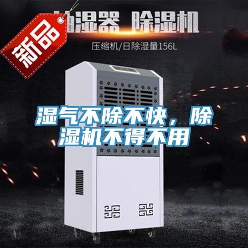 濕氣不除不快，除濕機不得不用
