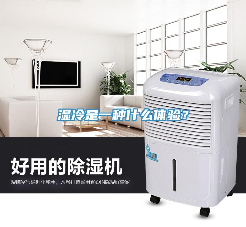 濕冷是一種什么體驗？
