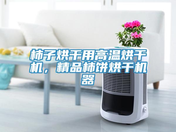 柿子烘干用高溫烘干機，精品柿餅烘干機器
