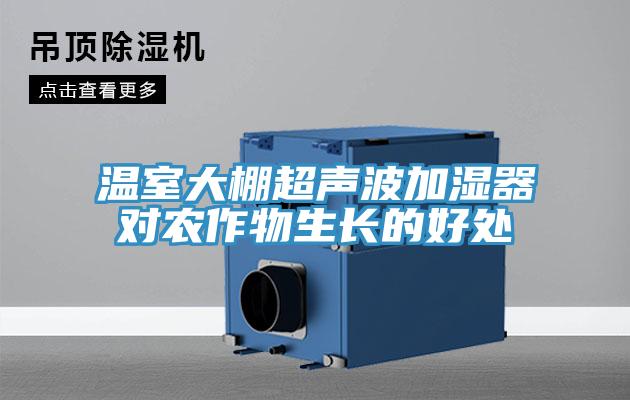 溫室大棚超聲波加濕器對(duì)農(nóng)作物生長(zhǎng)的好處