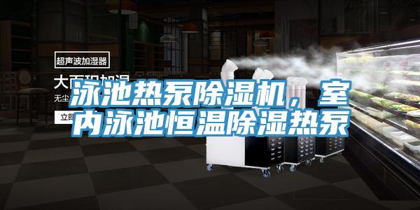 泳池?zé)岜贸凉駲C(jī)，室內(nèi)泳池恒溫除濕熱泵
