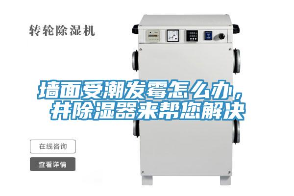 墻面受潮發(fā)霉怎么辦，東井除濕器來幫您解決