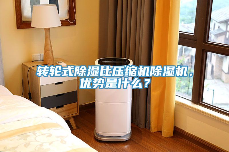 轉(zhuǎn)輪式除濕比壓縮機除濕機，優(yōu)勢是什么？