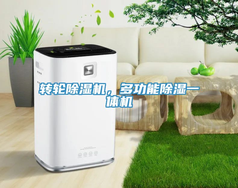 轉(zhuǎn)輪除濕機(jī)，多功能除濕一體機(jī)
