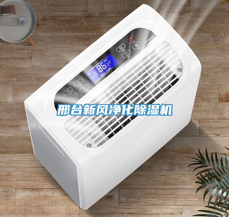 邢臺新風(fēng)凈化除濕機