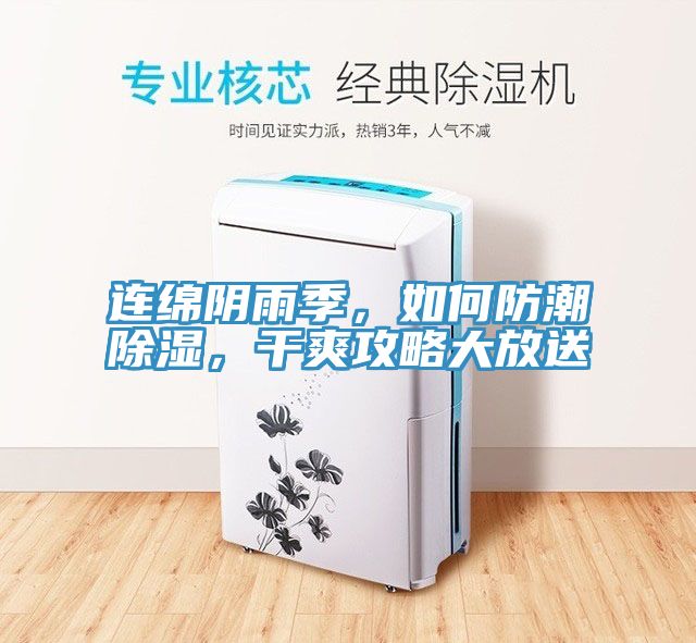 連綿陰雨季，如何防潮除濕，干爽攻略大放送