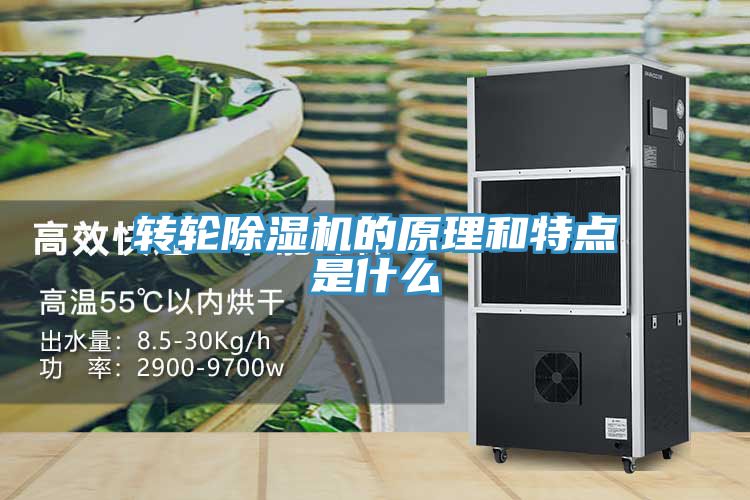 轉(zhuǎn)輪除濕機的原理和特點是什么