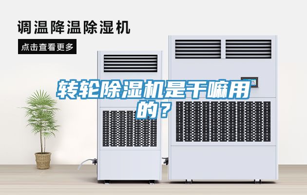 轉(zhuǎn)輪除濕機(jī)是干嘛用的？
