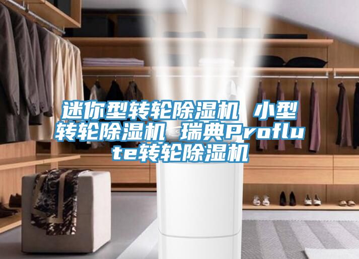 迷你型轉(zhuǎn)輪除濕機 小型轉(zhuǎn)輪除濕機 瑞典Proflute轉(zhuǎn)輪除濕機