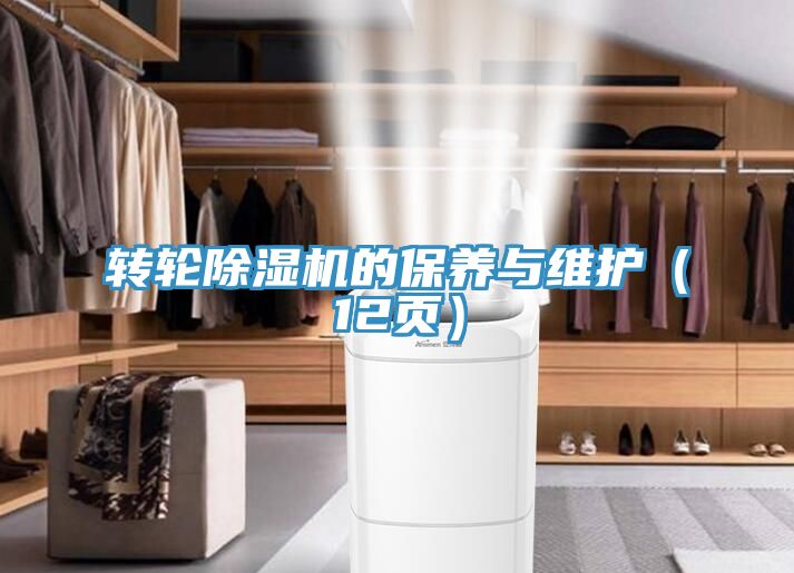 轉(zhuǎn)輪除濕機(jī)的保養(yǎng)與維護(hù)（12頁(yè)）