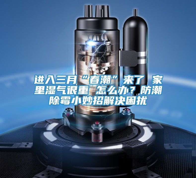 進入三月“春潮”來了 家里濕氣很重 怎么辦？防潮除霉小妙招解決困擾