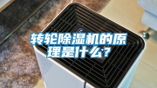 轉(zhuǎn)輪除濕機的原理是什么？
