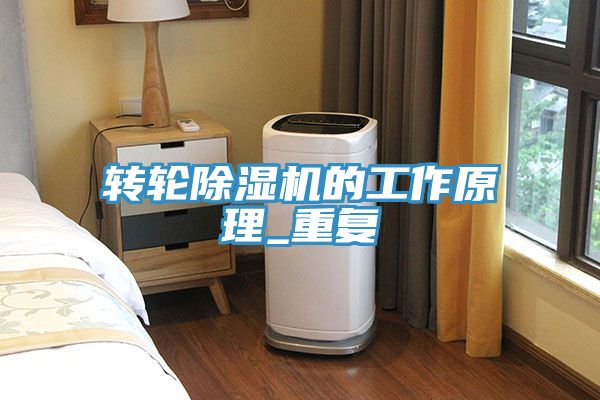 轉(zhuǎn)輪除濕機的工作原理_重復(fù)