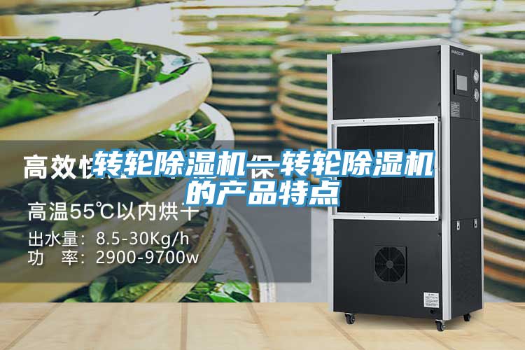 轉(zhuǎn)輪除濕機—轉(zhuǎn)輪除濕機的產(chǎn)品特點