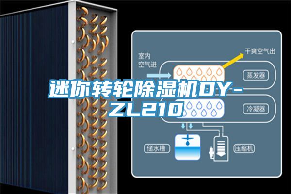 迷你轉(zhuǎn)輪除濕機DY-ZL210